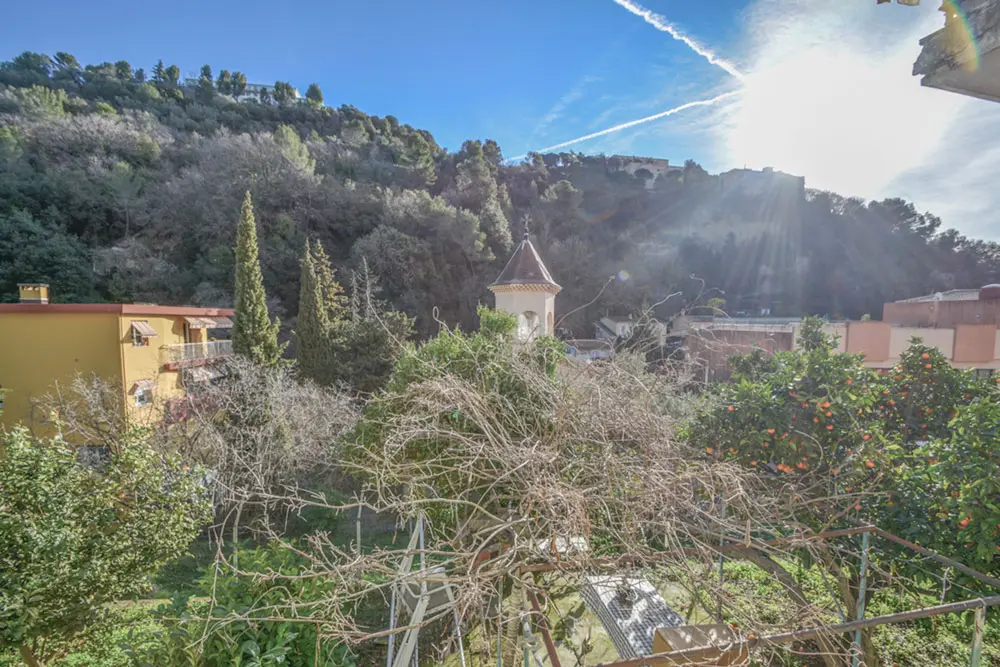 Vue sur le jardin d'une maison.