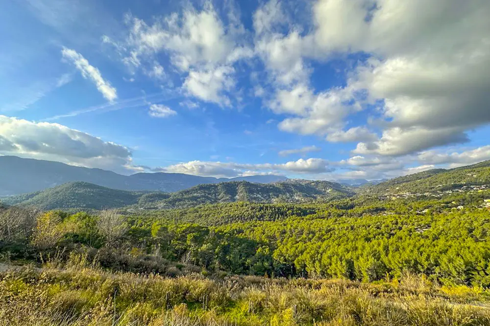 Vue panoramique sur les vignes et les montagnes depuis le jardin d'une maison.