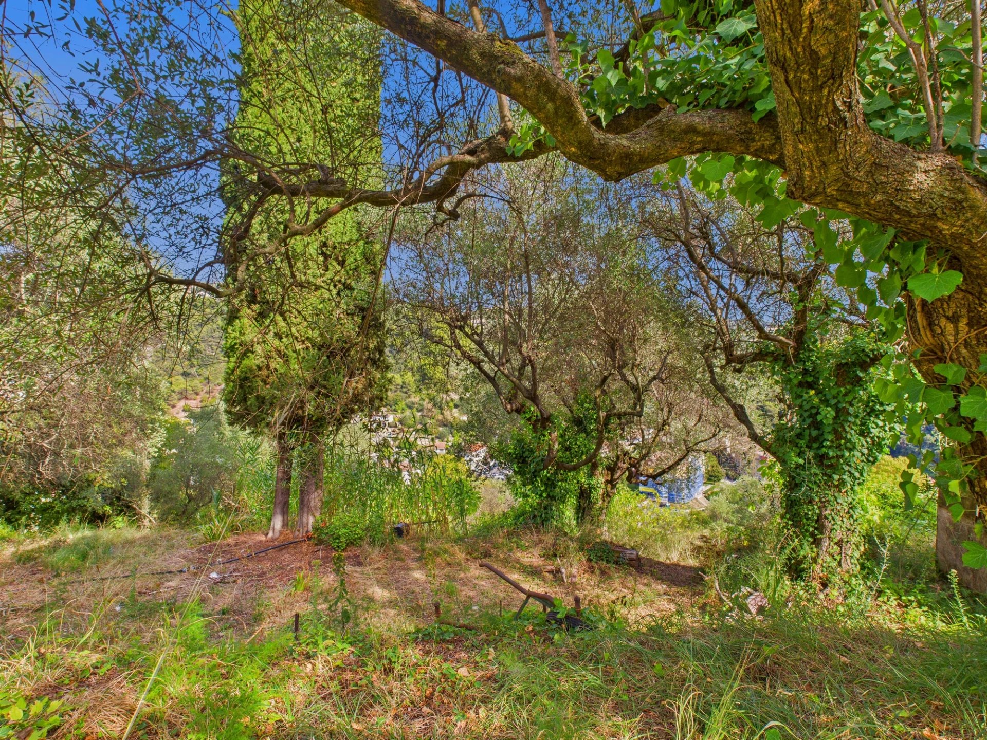 Terrain Constructible – 1.084m² – Chemin de Rimiez – ST ANDRE DE LA ROCHE