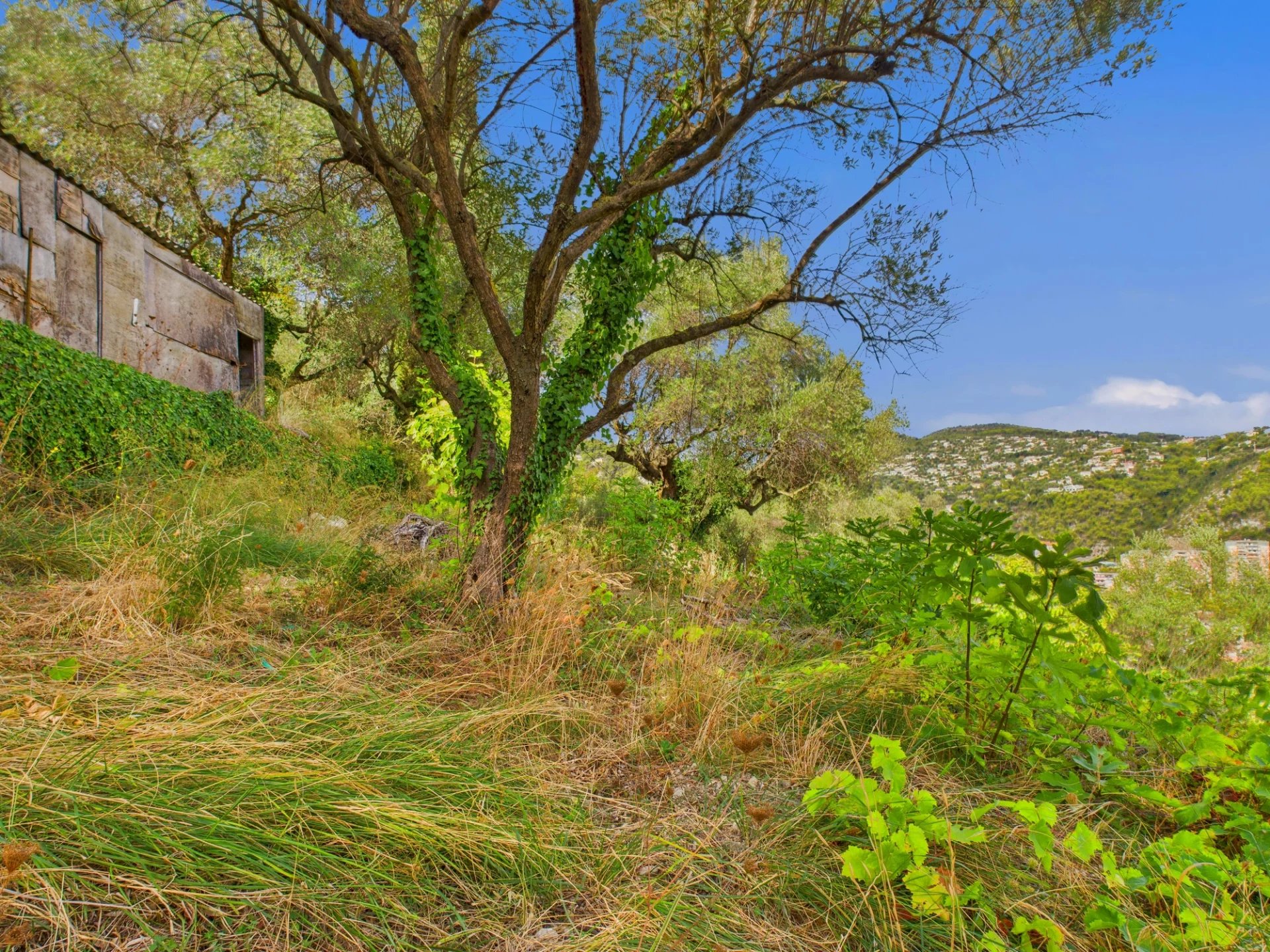 Terrain Constructible – 2423m² – Chemin de Rimiez – ST ANDRE DE LA ROCHE