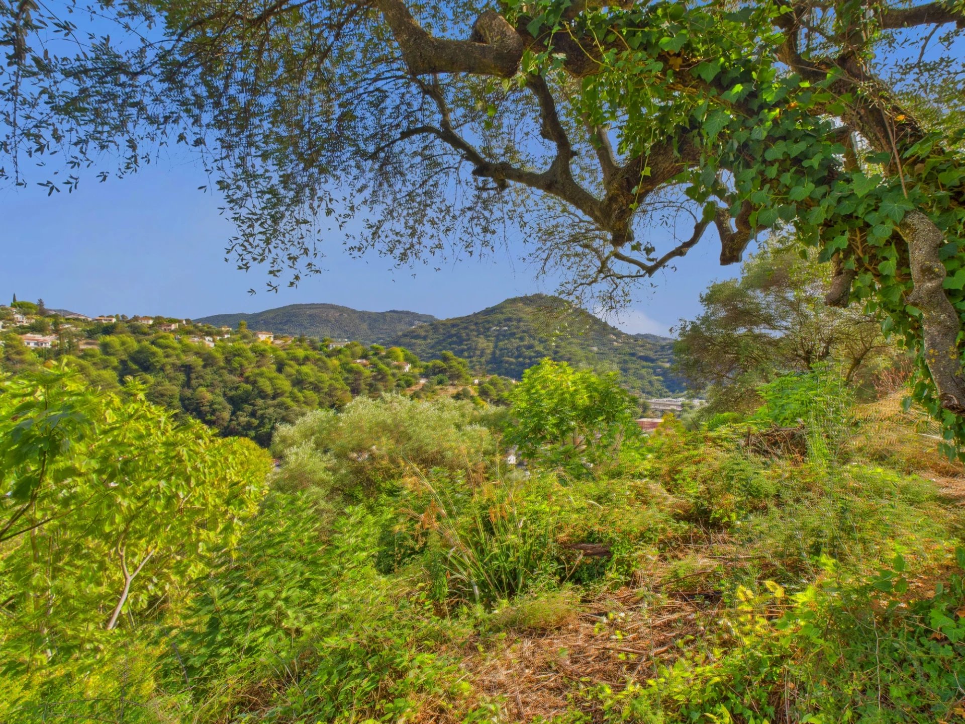 Terrain Constructible – 1.084m² – Chemin de Rimiez – ST ANDRE DE LA ROCHE