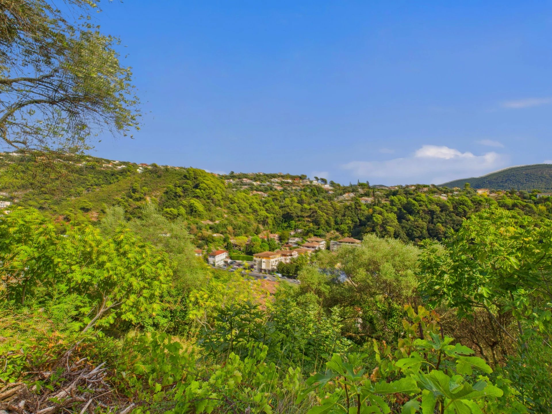 Terrain Constructible – 2423m² – Chemin de Rimiez – ST ANDRE DE LA ROCHE