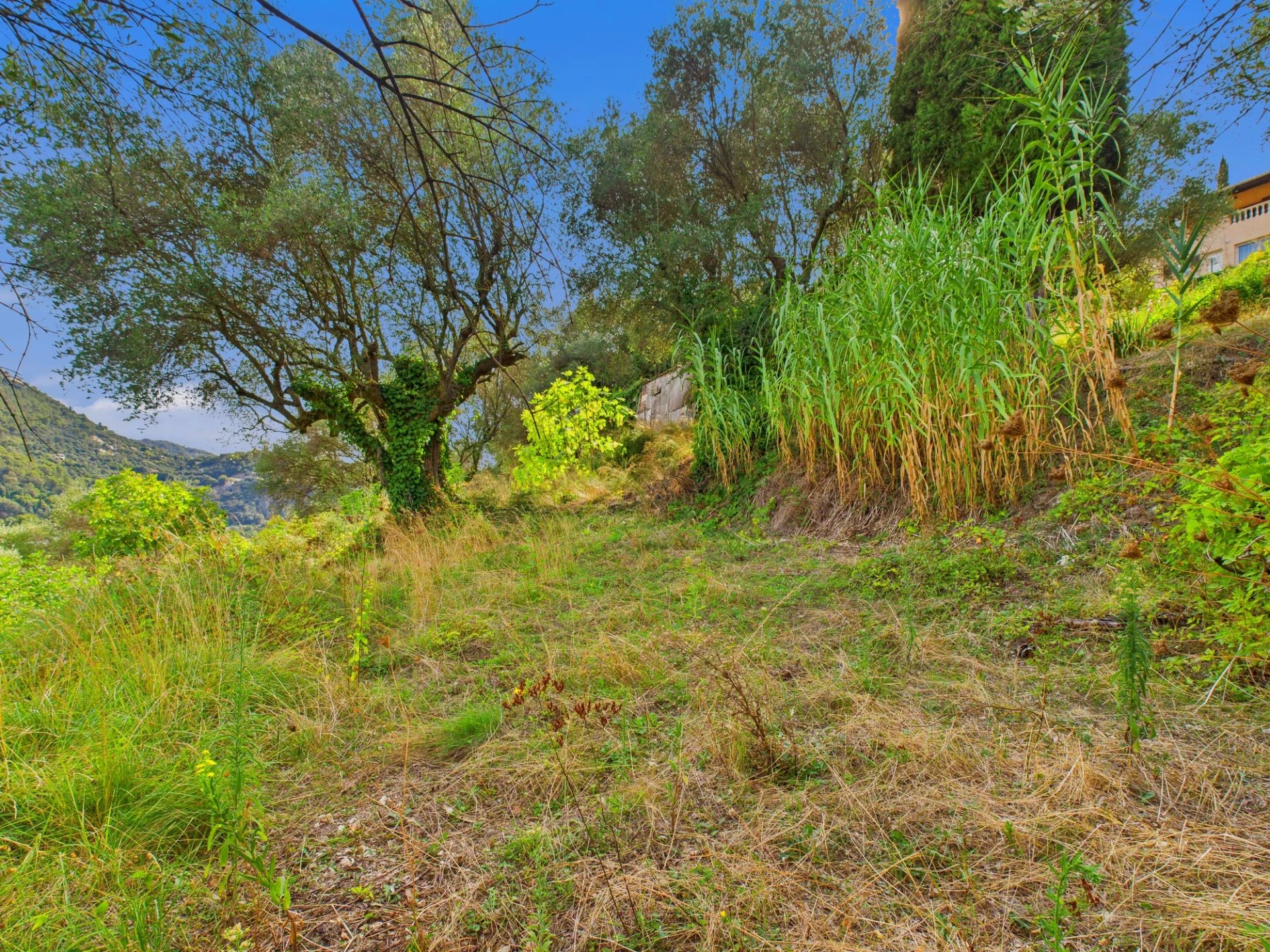 Terrain Constructible – 2423m² – Chemin de Rimiez – ST ANDRE DE LA ROCHE