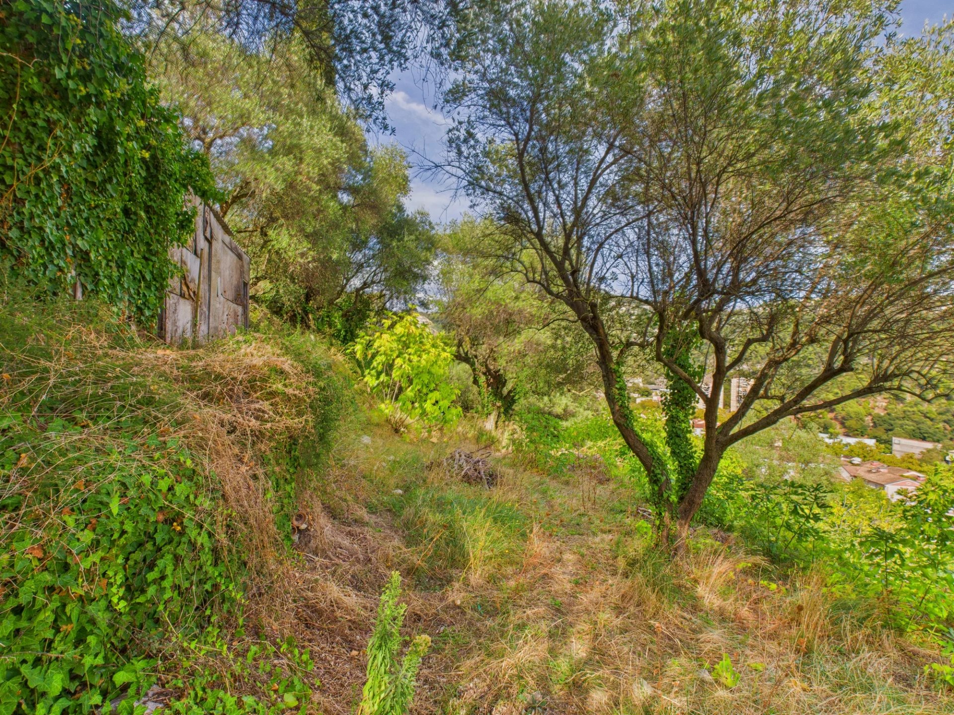 Terrain Constructible – 1.329m² – Chemin de Rimiez – ST ANDRE DE LA ROCHE