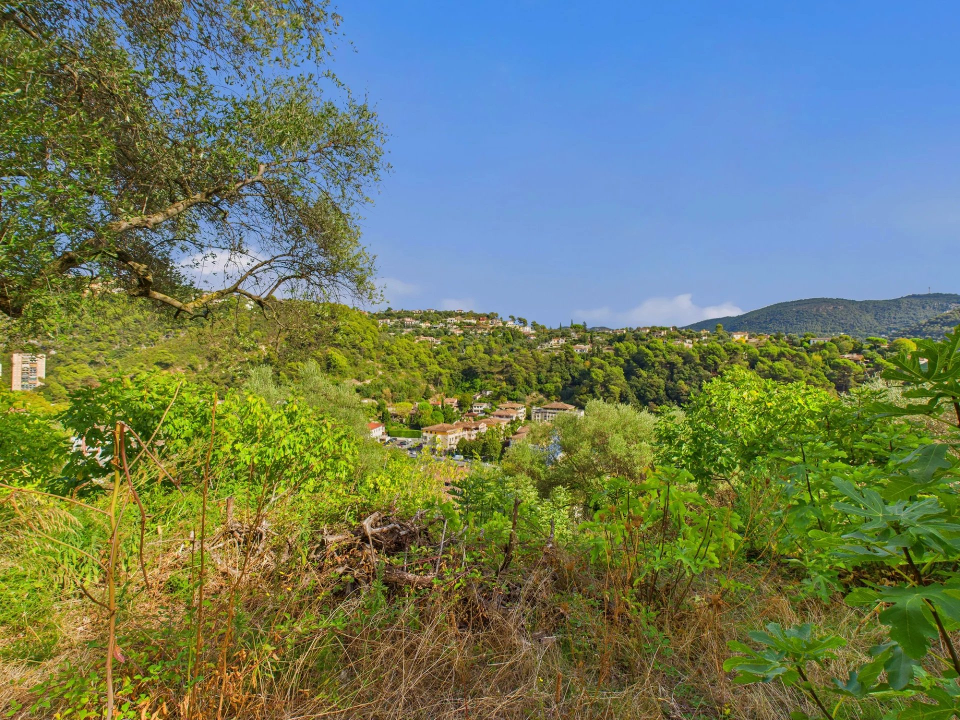 Terrain Constructible – 1.084m² – Chemin de Rimiez – ST ANDRE DE LA ROCHE