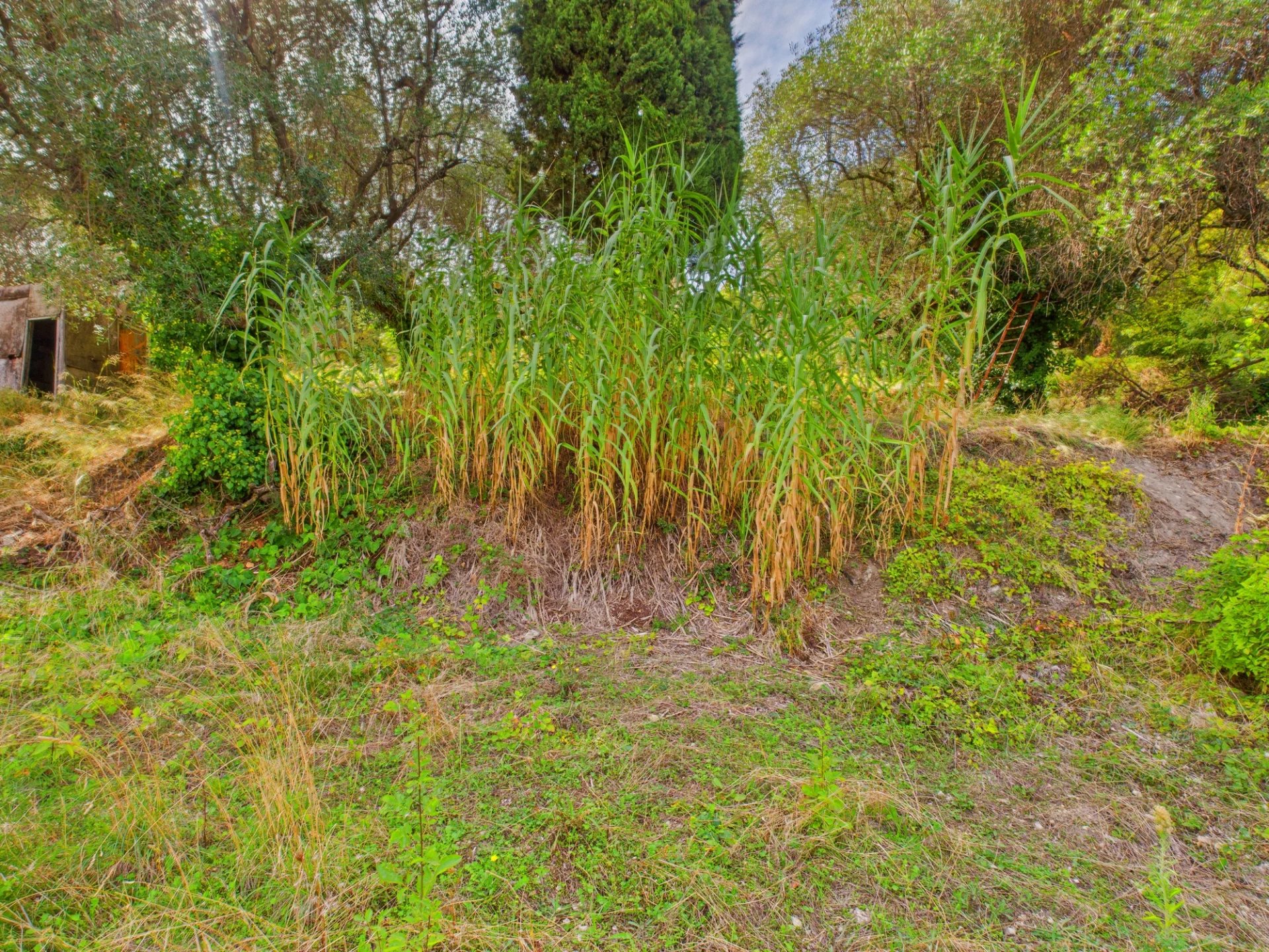 Terrain Constructible – 1.329m² – Chemin de Rimiez – ST ANDRE DE LA ROCHE