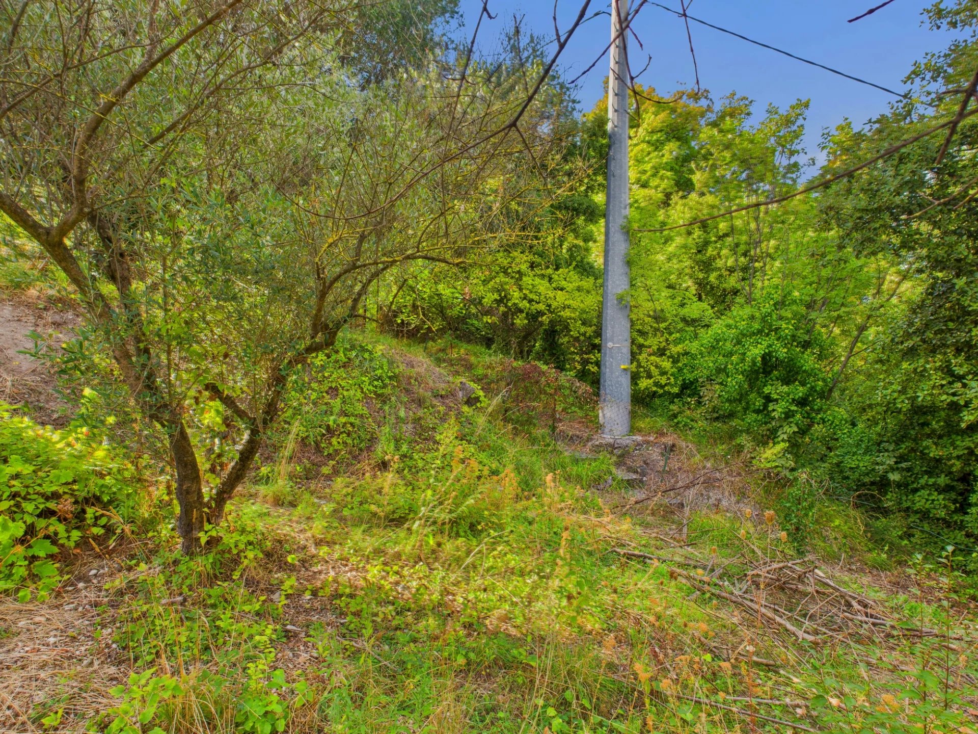 Terrain Constructible – 2423m² – Chemin de Rimiez – ST ANDRE DE LA ROCHE