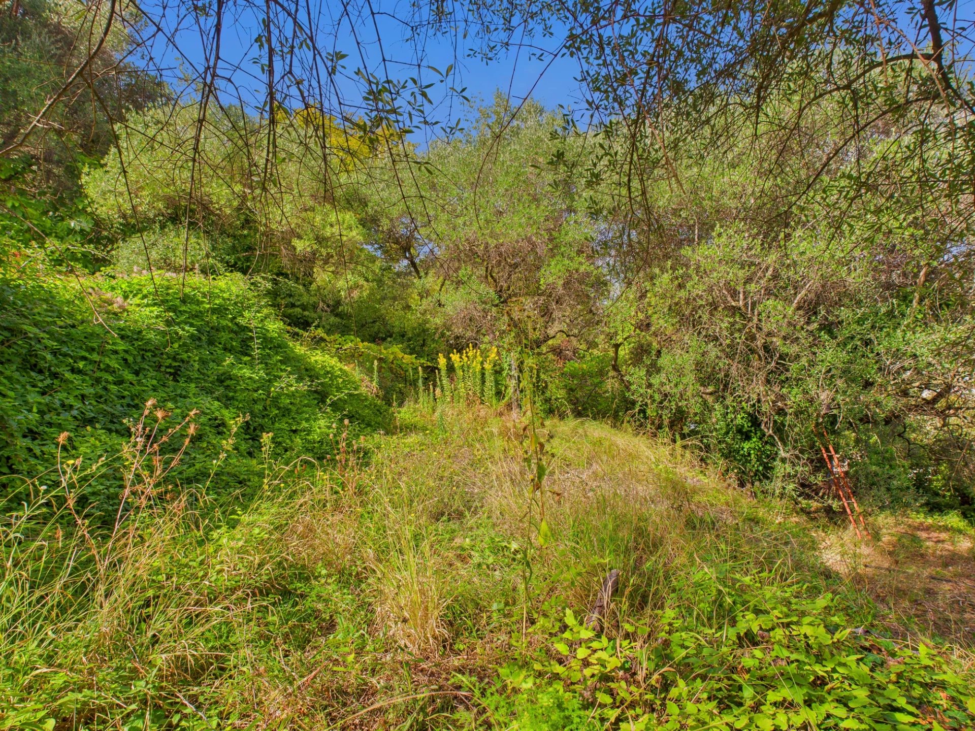 Terrain Constructible – 1.329m² – Chemin de Rimiez – ST ANDRE DE LA ROCHE