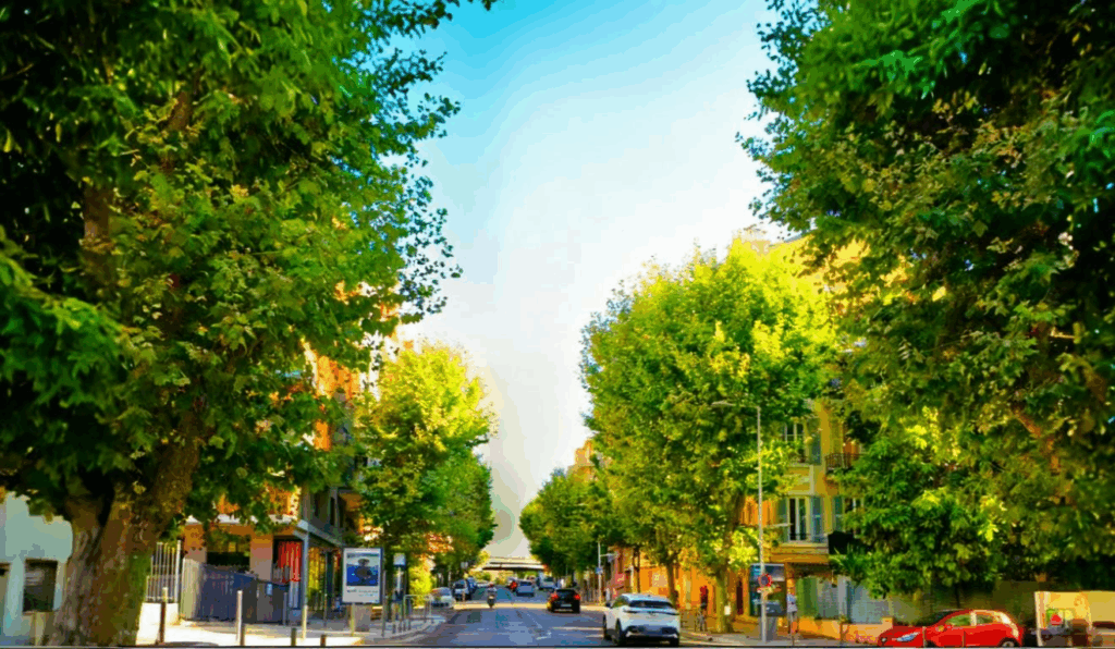 boulevard-grosso-nice